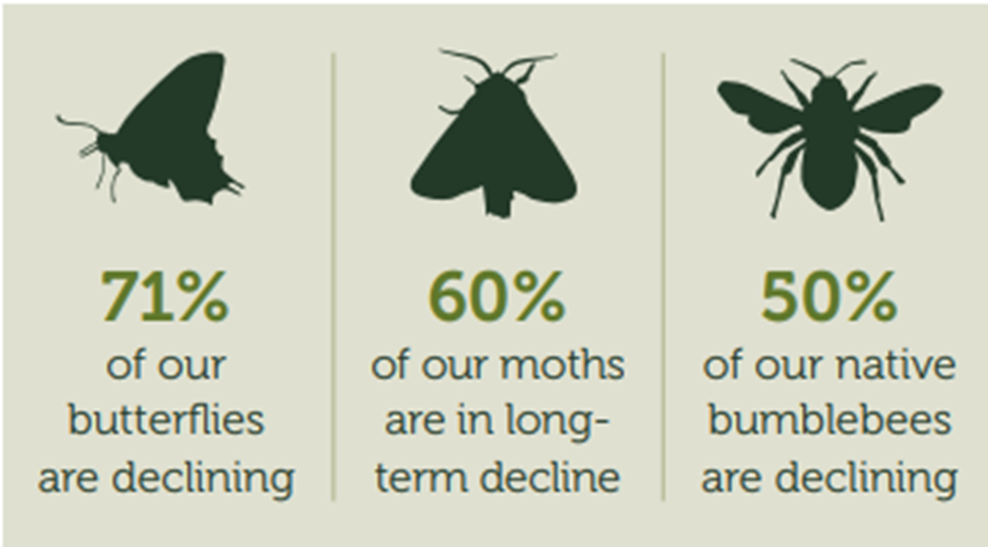 Developing Pollinator Pathways | Heart Of England Forest